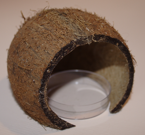 Coconut hut and petri dish
