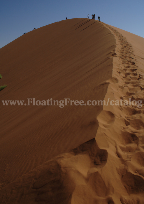 Dune walkers