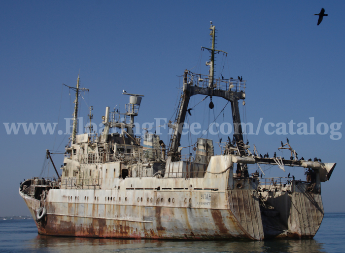 Abandoned ship