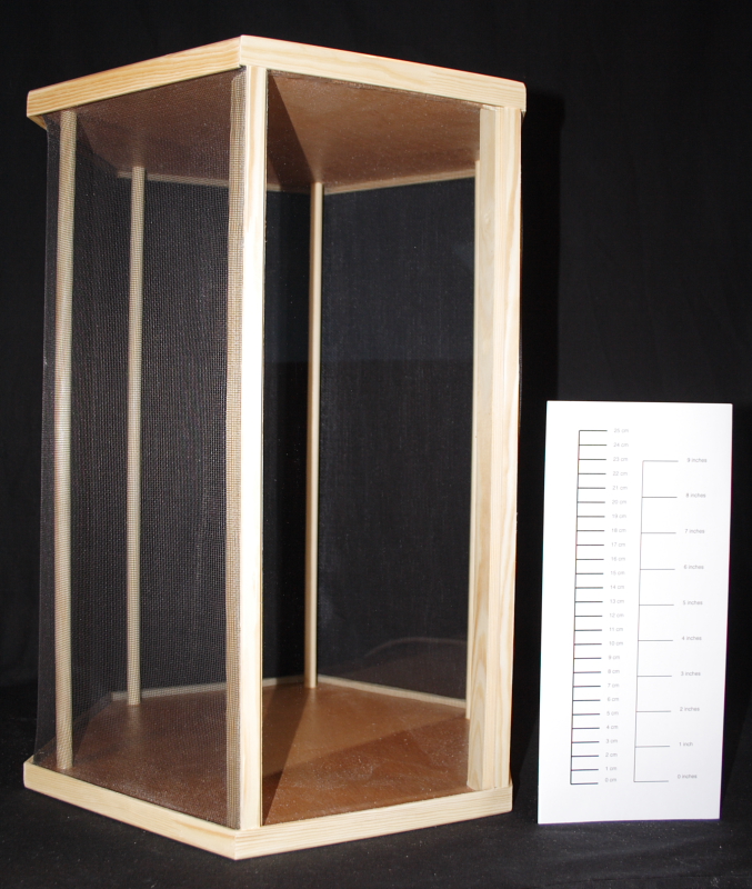 Large hexagonal mantid cage